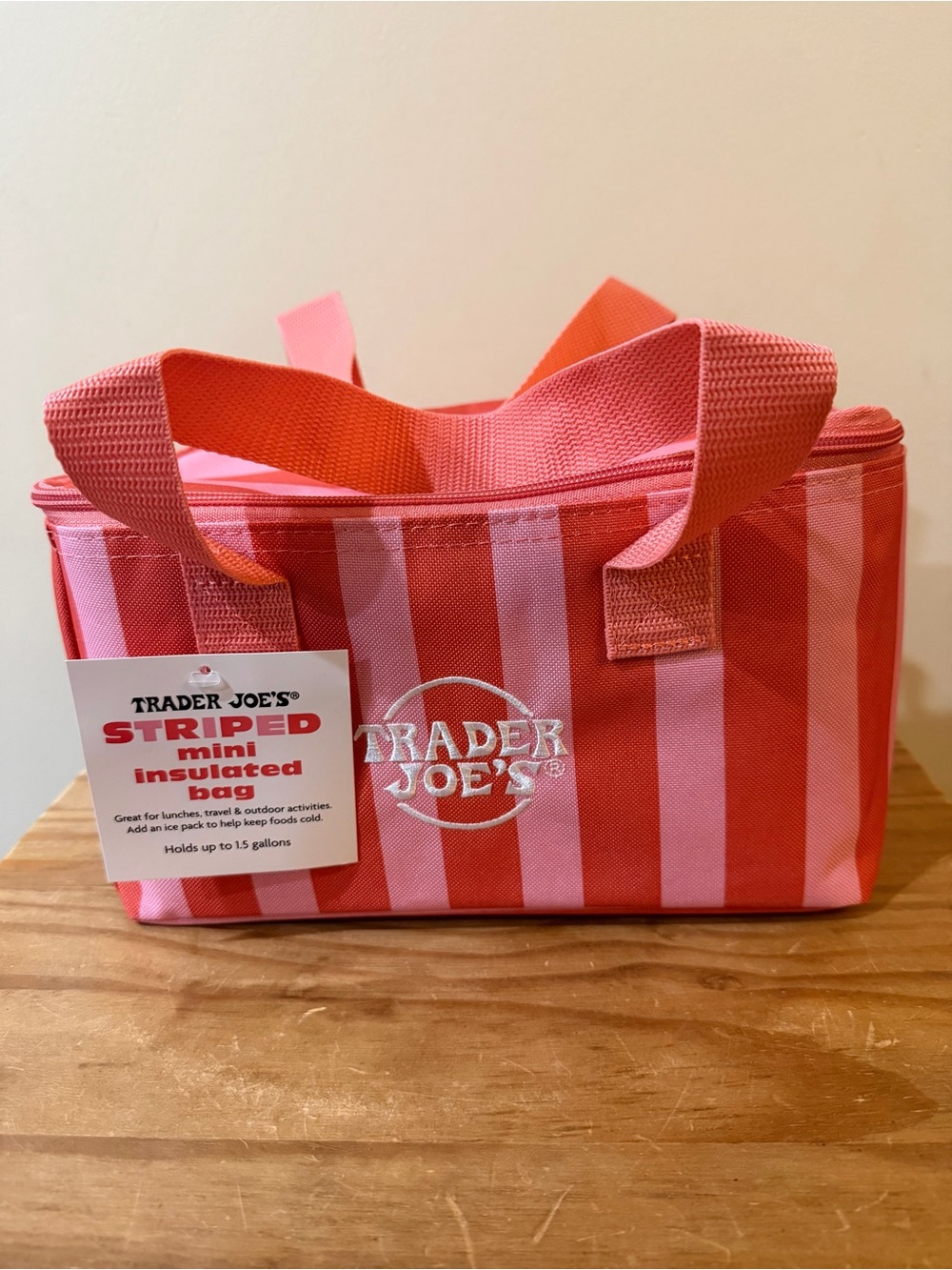 NWT Trader Joe’s Striped Mini Insulated Bag - Cooler Lunch Box